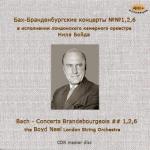 Bach - Concert's Brandebourgeois ## 1, 2, 6 The  Neel Boyd orchestra